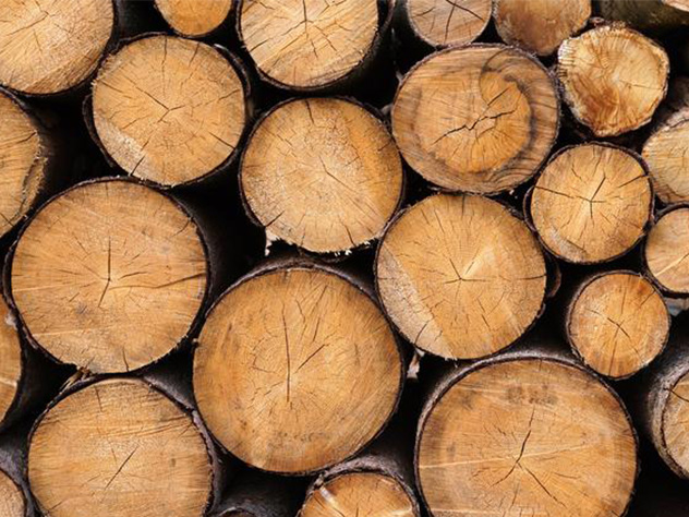 Forest Logistics — a natural extension of your business